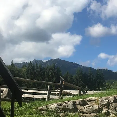 Daire Hodnik - Pasture Uskovnica, Bohinj