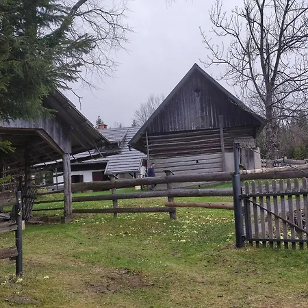 Hodnik - Pasture Uskovnica, Bohinj Daire