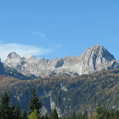 Daire Hodnik - Pasture Uskovnica, Bohinj *