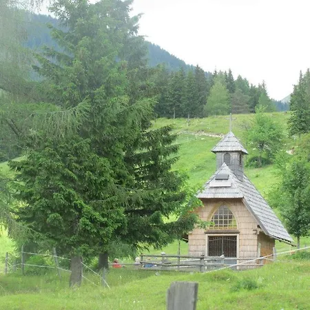 Hodnik - Pasture Uskovnica, Bohinj Daire *