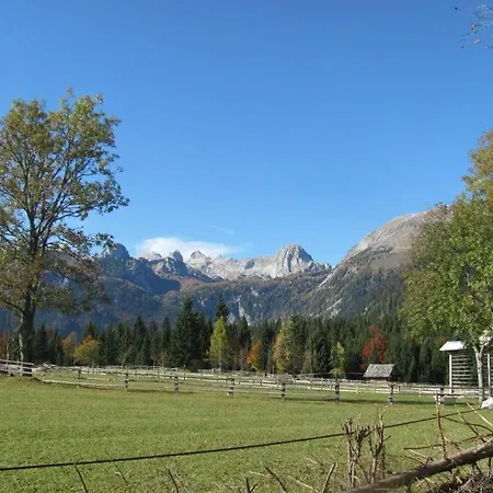 Apartament Apartma Hodnik Uskovnica Srednja Vas v Bohinju