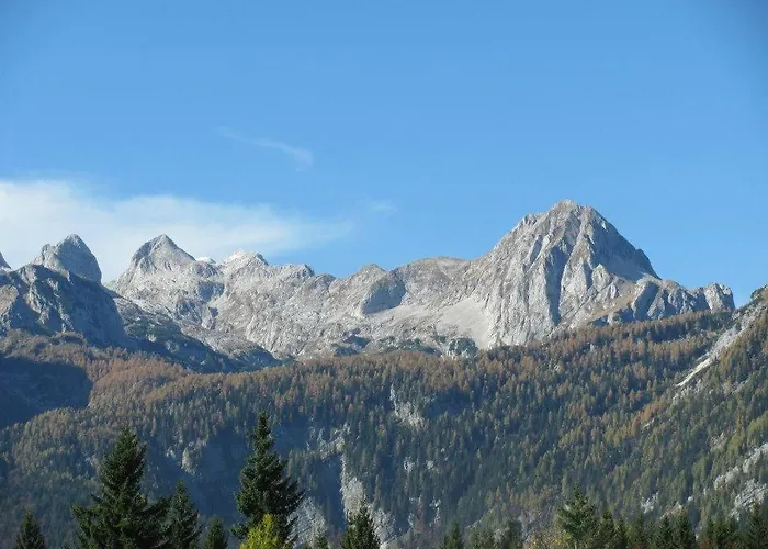 Appartement Apartma Hodnik Bohinj Uskovnica *