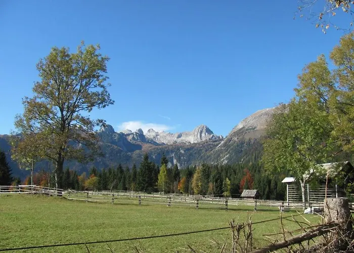 Appartement Apartma Hodnik Bohinj Uskovnica Srednja Vas v Bohinju